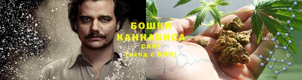 стафф Магадан