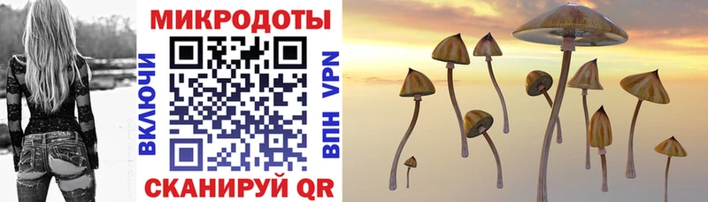 Галлюциногенные грибы мицелий  Нижнеудинск 