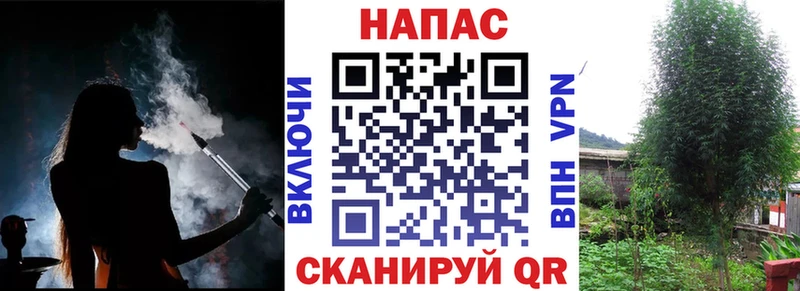 МАРИХУАНА THC 21%  блэк спрут tor  Нижнеудинск 